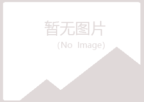 庆阳县夏岚房地产有限公司